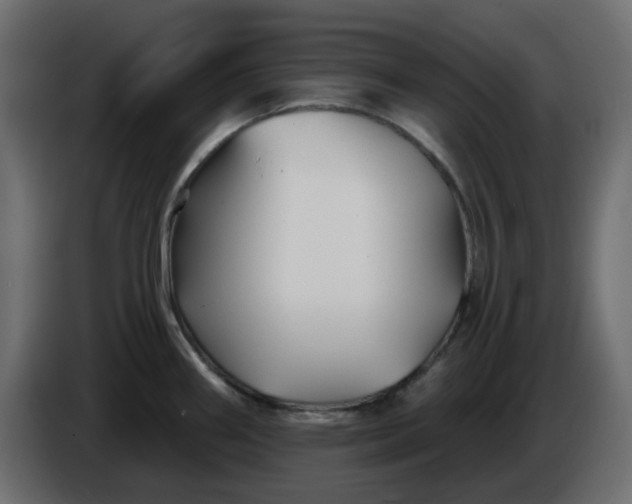 X0000086321290200704131645