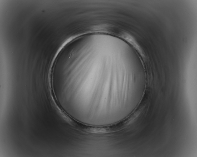 X0000086321291200704131645