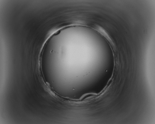 X0000086321292200704131645