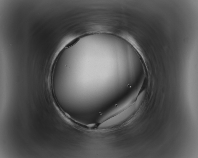 X0000086321293200704131645