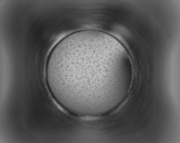 X0000086321294200704131645