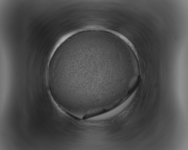 X0000086321295200704131645