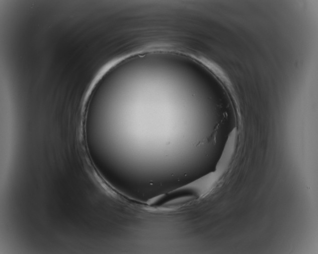 X0000086321296200704131645