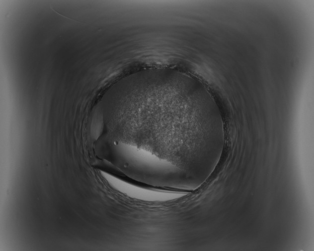 X0000086321297200704131644