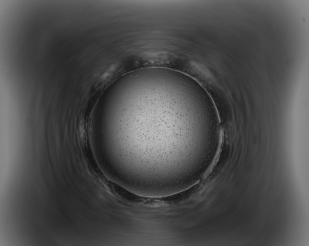 X0000086321298200704131644