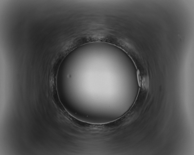 X0000086321299200704131644