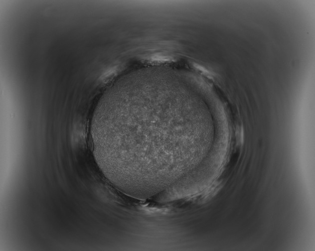 X0000086321300200704131644