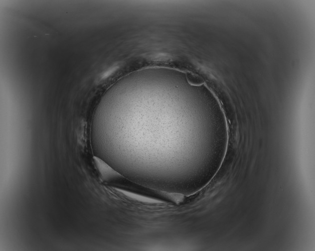 X0000086321301200704131644