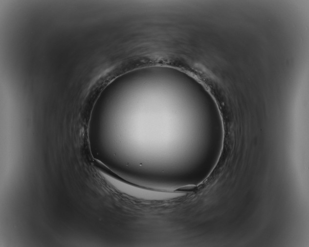 X0000086321302200704131644