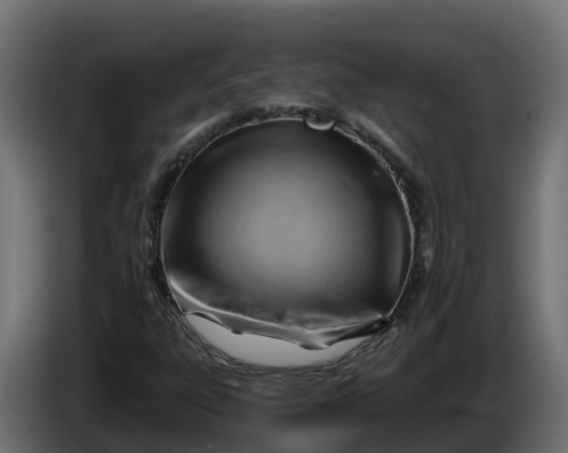 X0000086321303200704131645