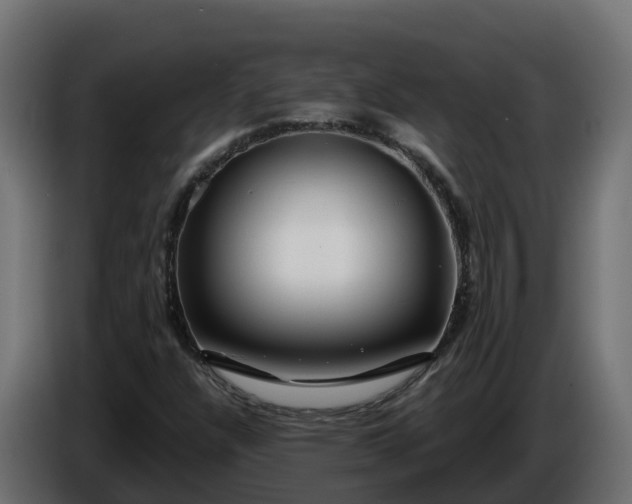 X0000086321304200704131645