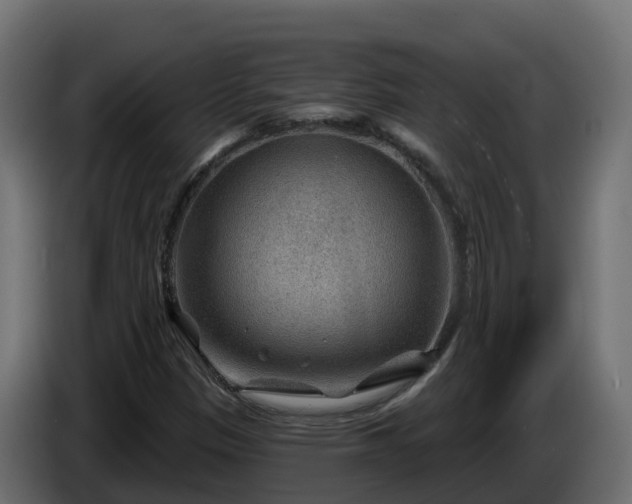 X0000086321305200704131645