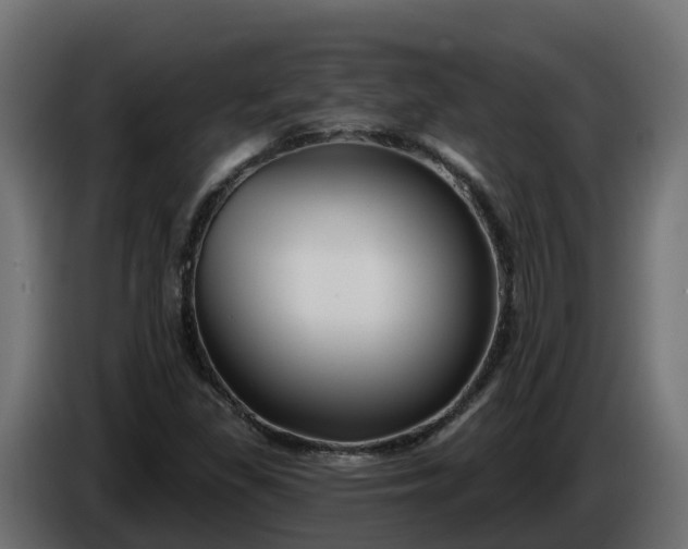 X0000086321309200704131645