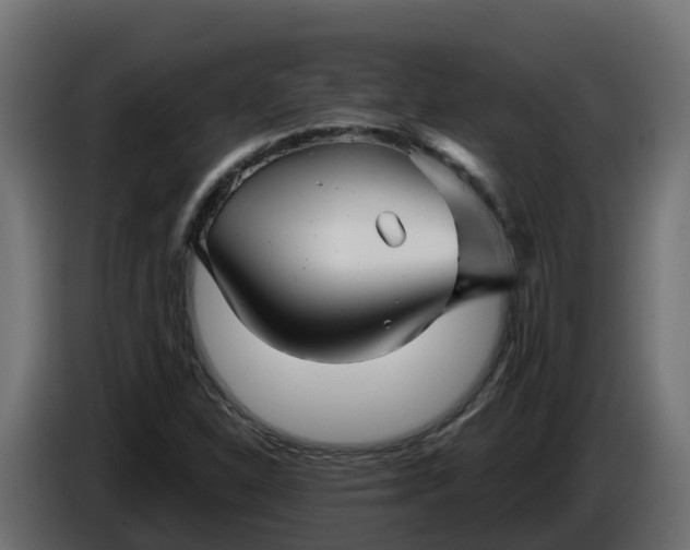 X0000086321310200704131645