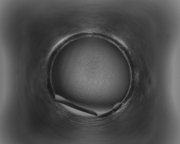 X0000086321311200704131645