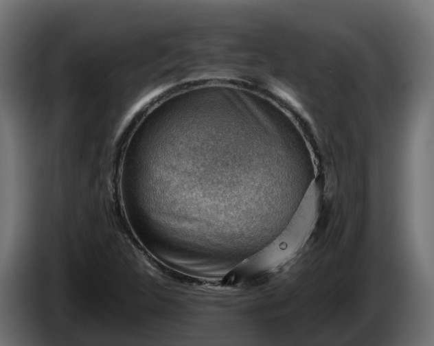 X0000086321312200704131645