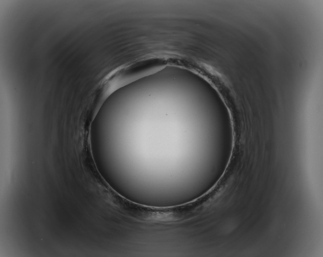 X0000086321313200704131645