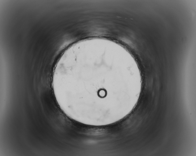 X0000086321314200704131645