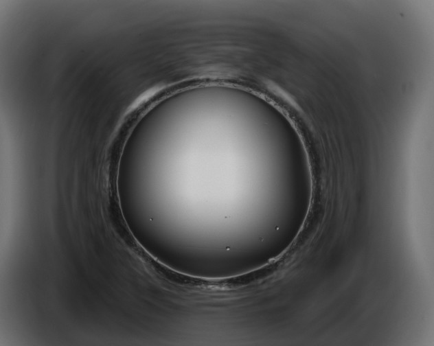 X0000086321315200704131645