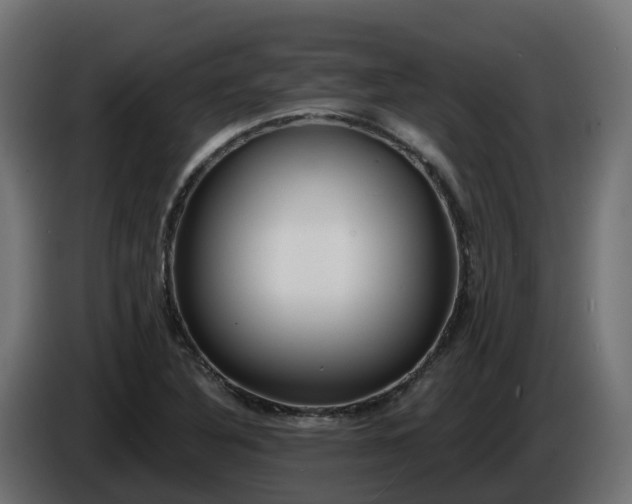 X0000086321316200704131645