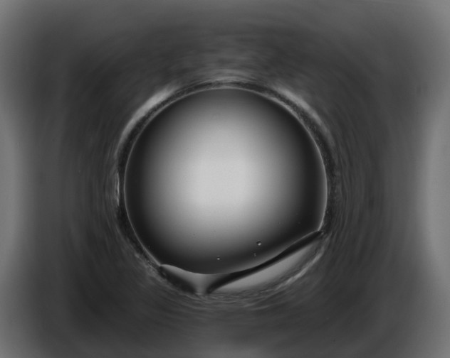 X0000086321317200704131645