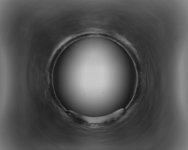 X0000086321318200704131645