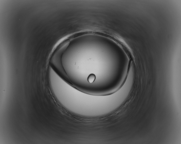 X0000086321320200704131645