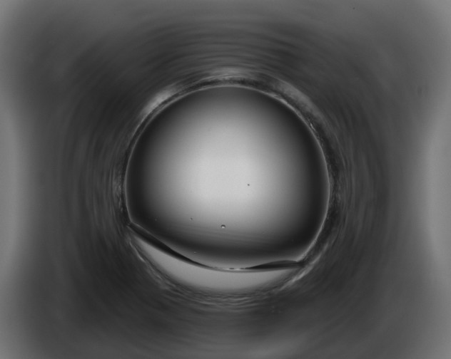 X0000086321321200704131645