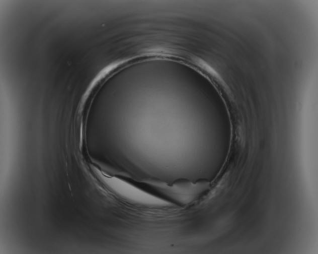 X0000086321323200704131645