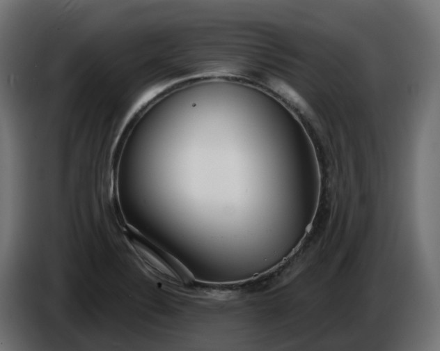 X0000086321324200704131645