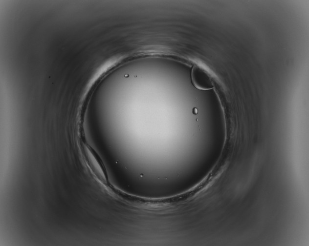 X0000086321325200704131645