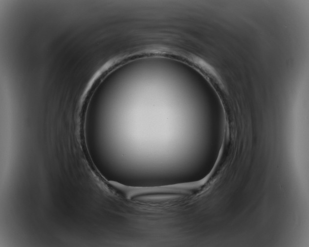 X0000086321326200704131645