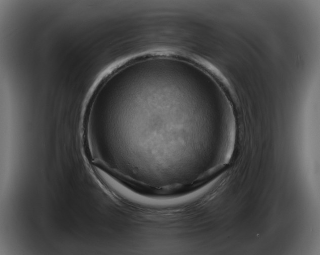 X0000086321327200704131645