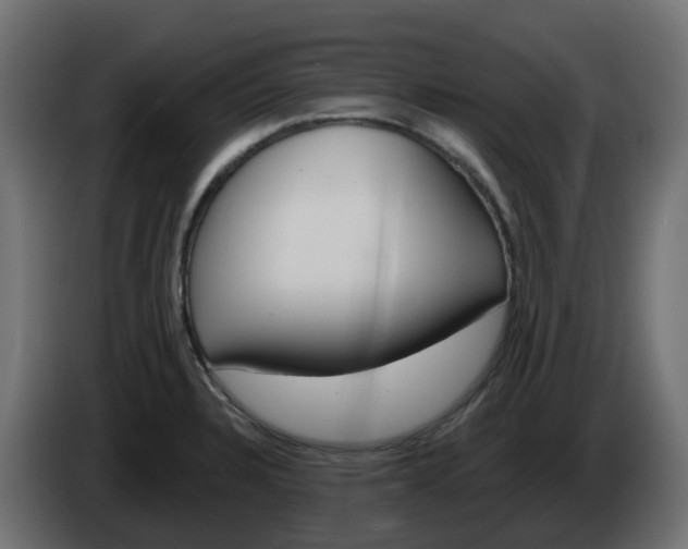 X0000086321328200704131645