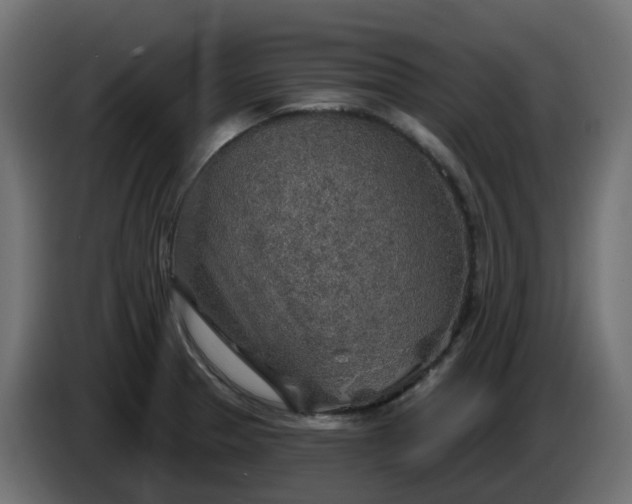 X0000086321329200704131645