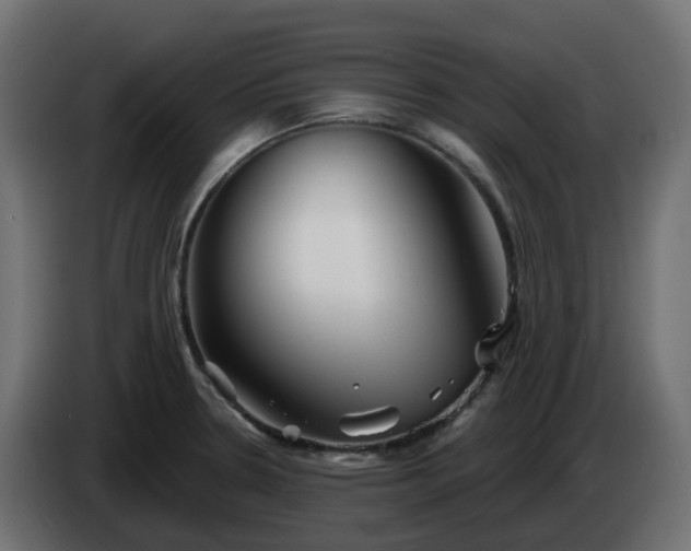 X0000086321330200704131645