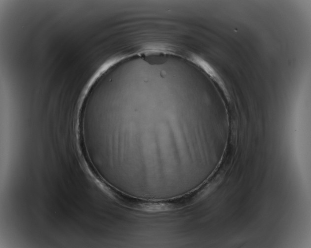 X0000086321331200704131645