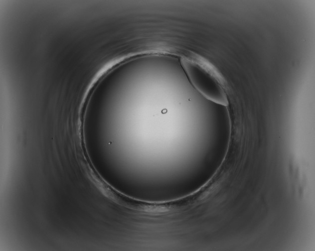 X0000086321332200704131645