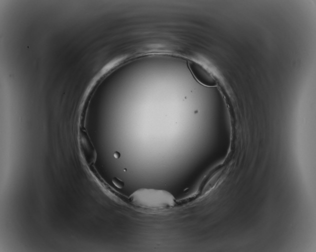 X0000086321333200704131645