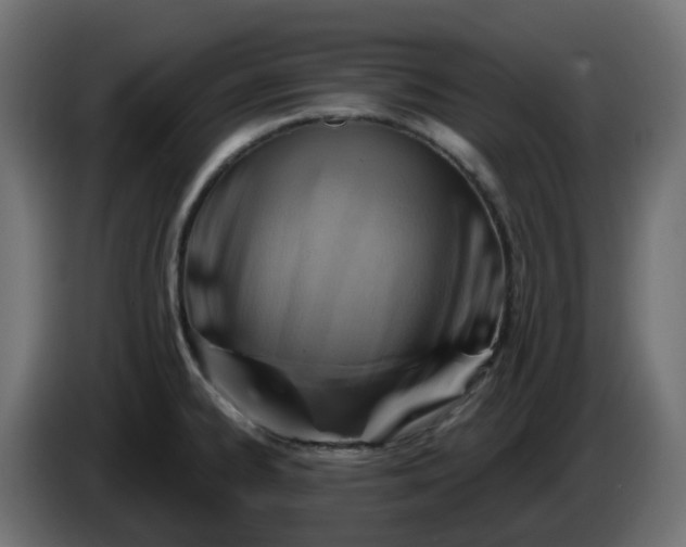 X0000086321334200704131645