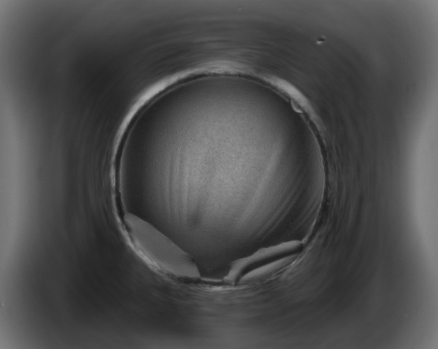 X0000086321335200704131645