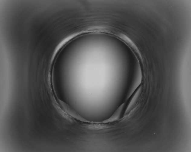 X0000086321336200704131645