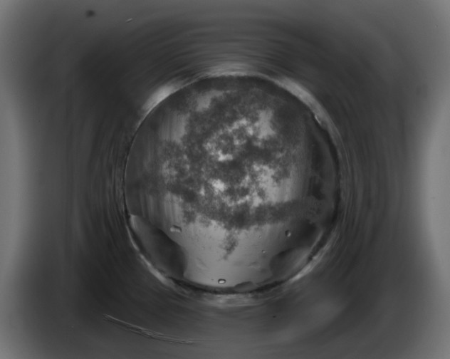 X0000086321337200704131645