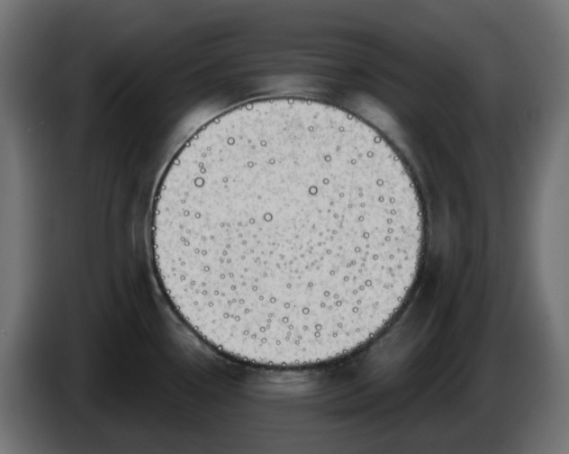 X0000086321338200704131645