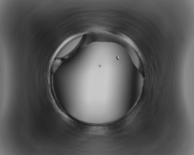 X0000086321339200704131645