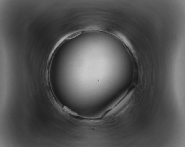 X0000086321340200704131645