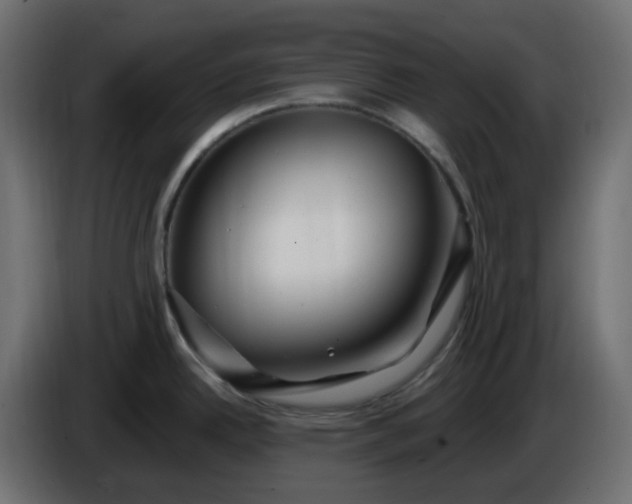 X0000086321342200704131645