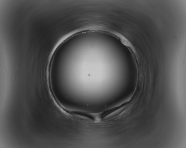 X0000086321343200704131645