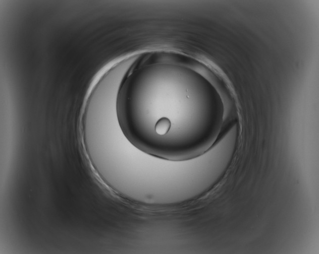 X0000086321344200704131645