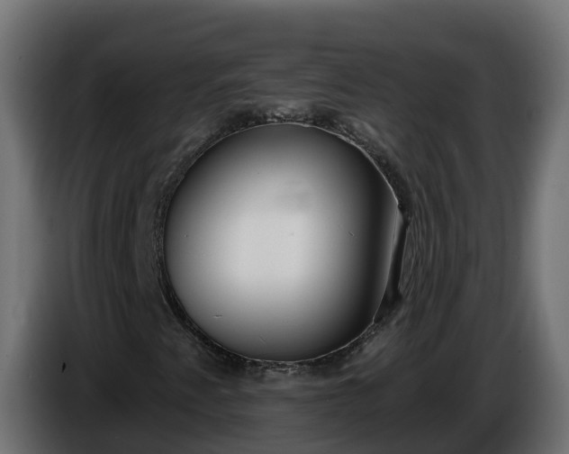 X0000086321345200704131644